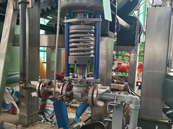 Filtre de désulfurisation de gaz naturel Filtre de désulfurisation de gaz naturel